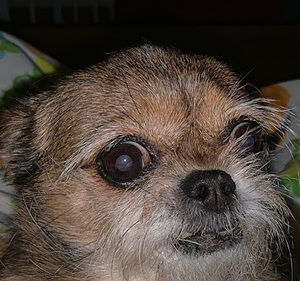 Meet your Posher, Ruth